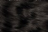Black Coffee Water Colour Hair Dye Gel - Very Dark Brown Hair Colour Without Ammonia