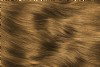 Water Colour Golden Rye Hair Dye Gel - Dark Golden Blonde Hair Dye for natural hair colour