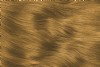 Water Colour Toffee Hair Colour Gel - Ammonia Free and PPD Free Toffee Hair Dye 