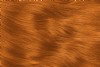 Water Colour Pumpkin Hair Dye for natural light copper hair colour - Ammonia free and PPD free hair dye