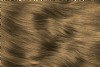 Water Colour Wheat Medium Blonde Hair Dye - Ammonia Free Wheat Hair Colour Gel UK
