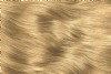 Water Colour Golden Barley Hair Colour Gel - Light Golden Blonde Hair Dye without PPD and ammonia