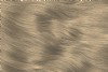 Barley Pale Light Blonde Hair Dye Gel - Ammonia Free and PPD Free Hair Dye for Grey Hair